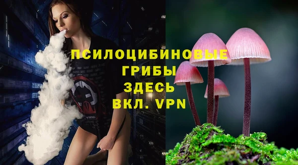 MDMA Premium VHQ Козельск