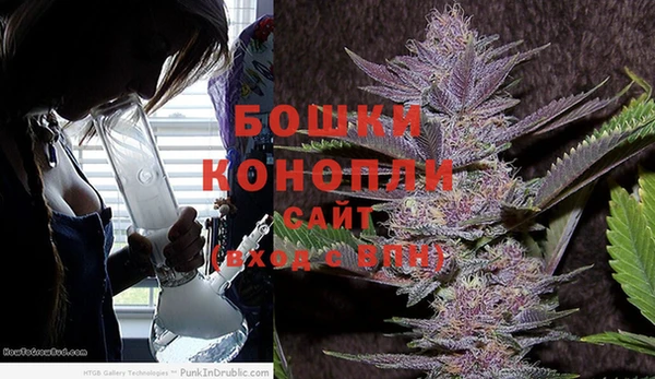 молекула духа Кодинск
