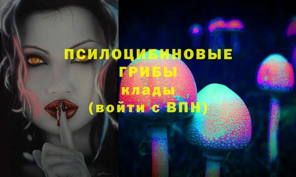 молекула духа Кодинск